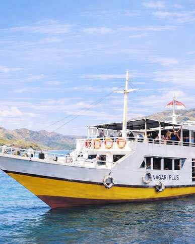 4D3N Lombok<br />Komodo Island Live a Board